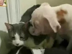 ❤❤여권위조pf-seoul＠bk.ru한국여권위조❤