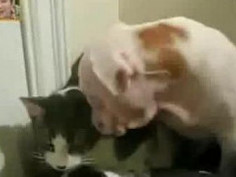 ❤❤여권위조여권위조pf-seoul＠bk.ru한국여권위조여권위조❤