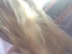 強國小黃車上 兩隻俄羅斯金絲貓打到衣不蔽體...