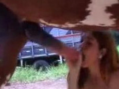 #말좃 #섹스 #애니멀 #보지 말 달리자