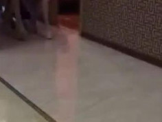 夜生活开始了。 服务开始