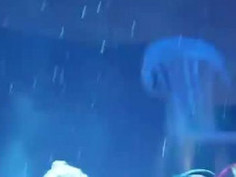 막 주는 썅년만 연락해