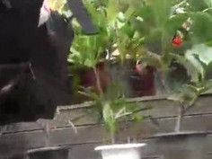 막 주는 썅년만 연락해