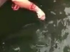 막 주는 썅년만 연락해