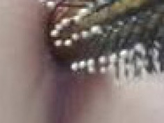 머리빗는 빗으로 봉지넣었다 똥꼬 넣었다 개더러운년