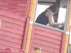 日本盜攝自慰33部合集 - 4