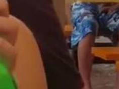 户外逗鸟。 懂得玩鸟