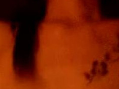 大胸美女做愛 3