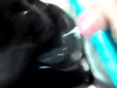 왠지 따라하다 좆돼는 병신들 있을듯 ㅋㅋ