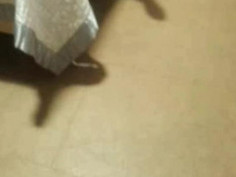 KBJ Korean BJ 2015020407 - 2