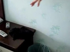 [video800精选] 美女自拍 588-小美透明#内内秀美腿