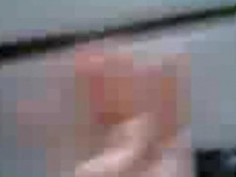 小李子全集 田欣