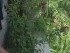 酒店露台全裸講電話 是哪間酒店沒有冷氣？