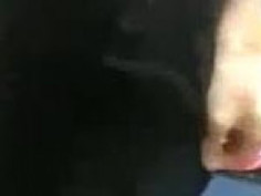 요즘 시도때도없이 꼴리시진않나요? 제가 알려드리는 대로만하면 쉽게 여자를 꼬셔서 ㅁㅌ로데려 가실수있습니다 아무래도 무인증 기간이라 그런지 학생들이많아요 전 전주사는데 여긴 수도권처럼 사람많지도 않은데 학생이랑 만남가져봤습니다 6번에 2번이요 ㅎ… 사람이많지도않은데 학생이랑잡히는거보면 수도권은 엄청많겠죠? 개인정보도 필요없습니다 가입하시고 여러여자만나보세요 ㅎ ㅎ