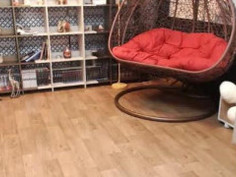 bj 사과 모음 - 4