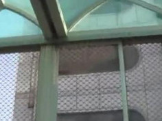 강력 추천드리고 싶은 미팅사이트예요~♥ 취향100% 반영(레즈,게이도 가능)♡ 유부녀,미시,네토 환영받는곳 ( https://goo.gl/WNXyXC ) 모바일 ok / PC ok 국내 최대규모 20만회원 대기중! 하루 1:1파트너 OK승인 커플수 1만건이상! 하루 1회 방대한 데이터로 1:1연결! 소비자 만족도 남녀노소 10점만점에 9.8점 이제 외롭게 집에서 혼자 있지 마세요! ( https://goo.gl/WNXyXC ) 오늘의 키워드! #집사람,