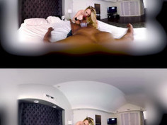 Hungry Kitty AJ Applegate