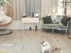 APPLE - KBJ KOREAN BJ 2017063002 - 2