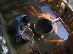 映像詩 里山 高画質版