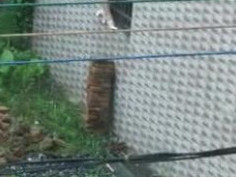 : : 这下直接高潮了 爽了 蛋碎了 金鐘鲍鱼碎大磚