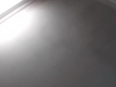 Rau mới trồng được. ứ ừ không quay đâu-vn