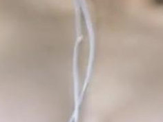 巨乳大眼妹妹聽著音樂不停地秀自己粉逼