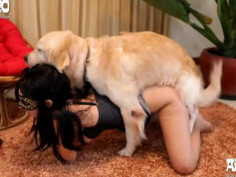 富士山直播，整合网络各大直播平台50＋，可视聊天内容，日韩美妞直播平台，点开即可 观看，没有直播收费，没有主播套路，没有房间计时。无视飙车模式，无视走私模式。无视 时间限制，大秀随时随地 联系售后方式 : 微信mqpyjgoys QQ群：15206075 （富士山聚合平台）