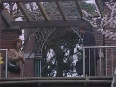 The Japanese Wife Next Door