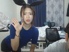 KBJ KOREAN BJ 2017052009