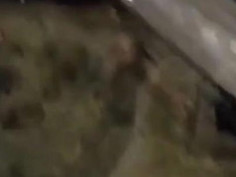 【線上看影片】為了百元紅包脫衣