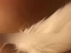 等不到天黑音乐唤起回忆媳妇第一次3P情景