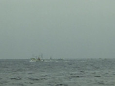 魚影之群 [1983] [日本限制級]