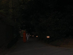 蜜之哀傷 [2016] [日本限制級]