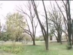 笹山希　四十路美熟女とのリアルドキュメントセックス　車内やホテルでラブラブ不倫