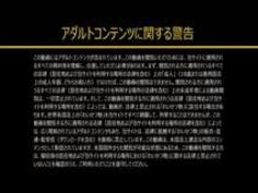 モデルコレクション こころ