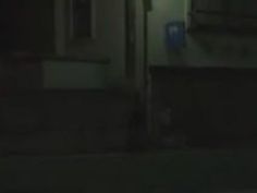 お姉さん 美女 辰巳ゆい 極上 ゆい