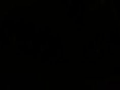 無修正 熟女 フェラ 痴女 フェラ抜き