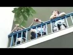 [SDDE-288]女子校生は在学中に国が決�...