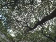 巨乳 着エロ 豊満 おっぱい 乳