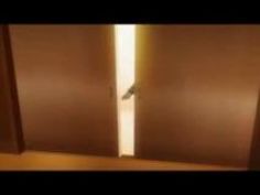 エロアニメ 巨乳 女子高生 ハーレム セックス