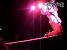 日本のストライプス3