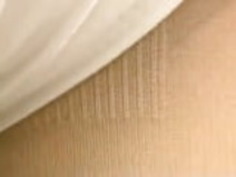 日本のレースクイーンズヴィンテージ80'sエンドレスガールズ水着