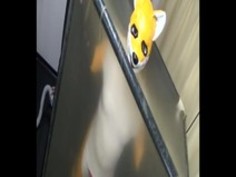 007きぐるみは密封して振動させた