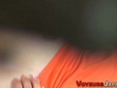 ヘアリープッシーアジアスパイ