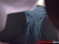 日本のアマチュアクライマックス