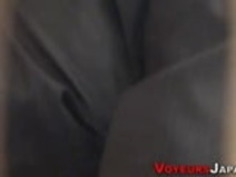 毛深い猫のアジアの指