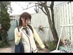 シャギー法的年齢の十代の猫が殴られる