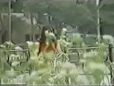 日本のヴィンテージ