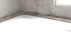 豪華なベイビーがバスルームで彼女の猫に触れる