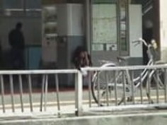 オヒモモアジア公衆